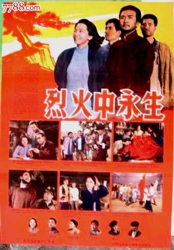 做个假的爱尔兰驾驶证